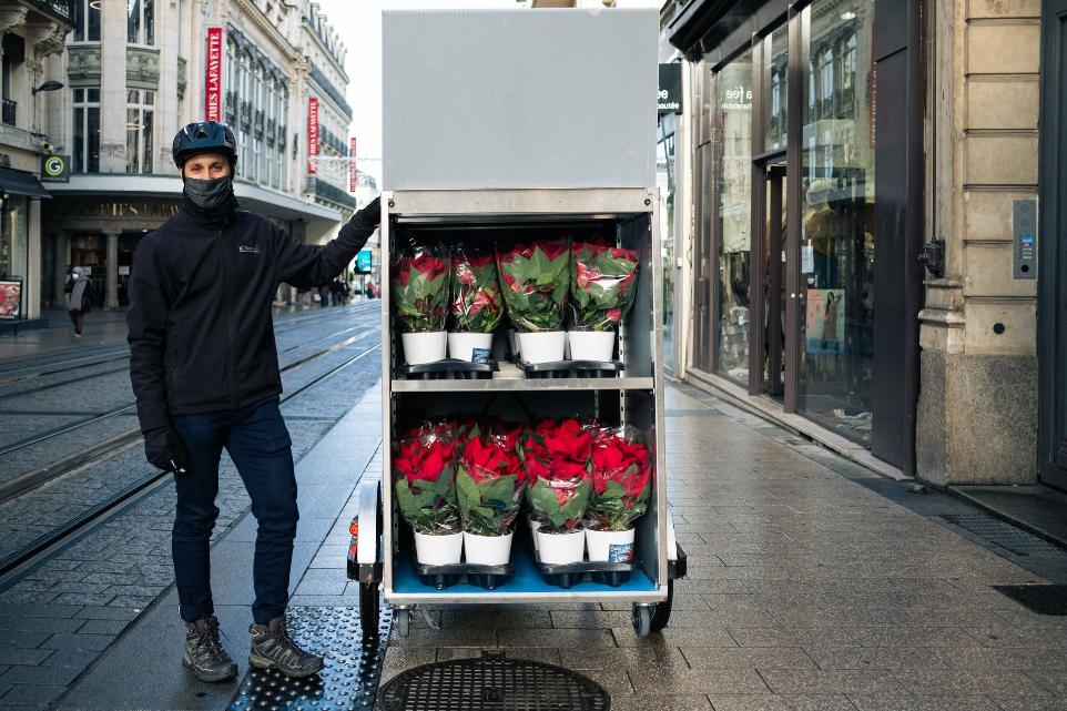 Livraison de plantes