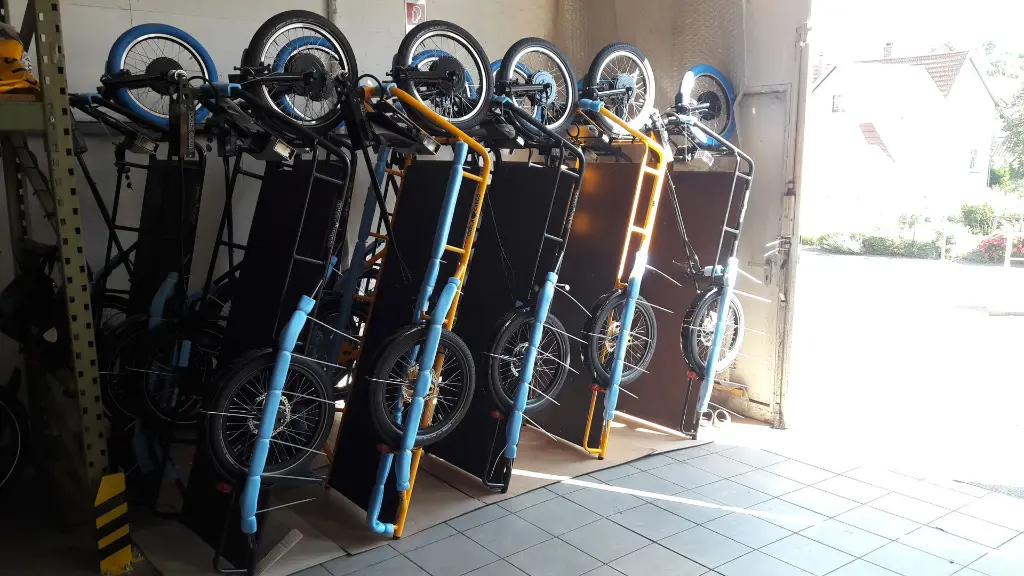 Carla - JHOG (1).webp